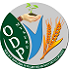 ODP logo